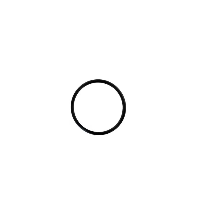 CRP Intake Plenum Gasket 16028100